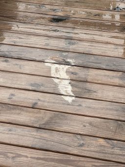 Spilled the grease trap from the grill on the deck, tried to wipe it up quick. Created dick art instead.